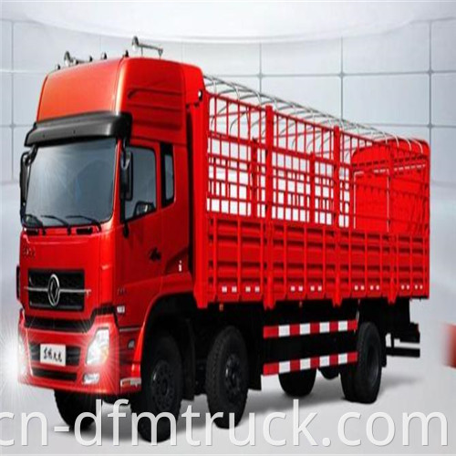 Cargo Truck05053